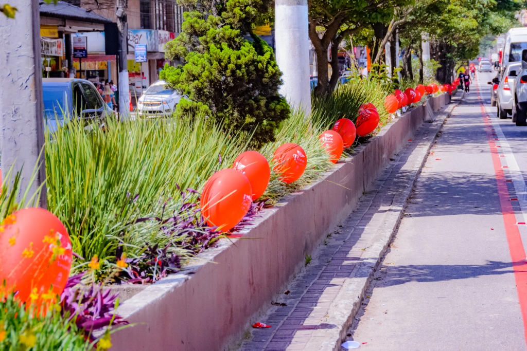 Balões vermelhos com sementes e plantio de mudas em escolas anunciam o lançamento do programa ‘Terê ; Tão Bela’
