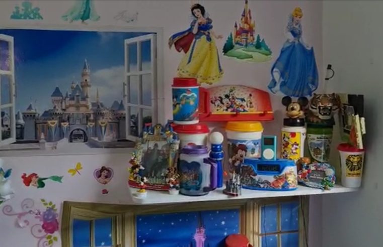 Polícia Civil prende em Niterói pedófilo que tinha “quarto da Disney” para estuprar menores