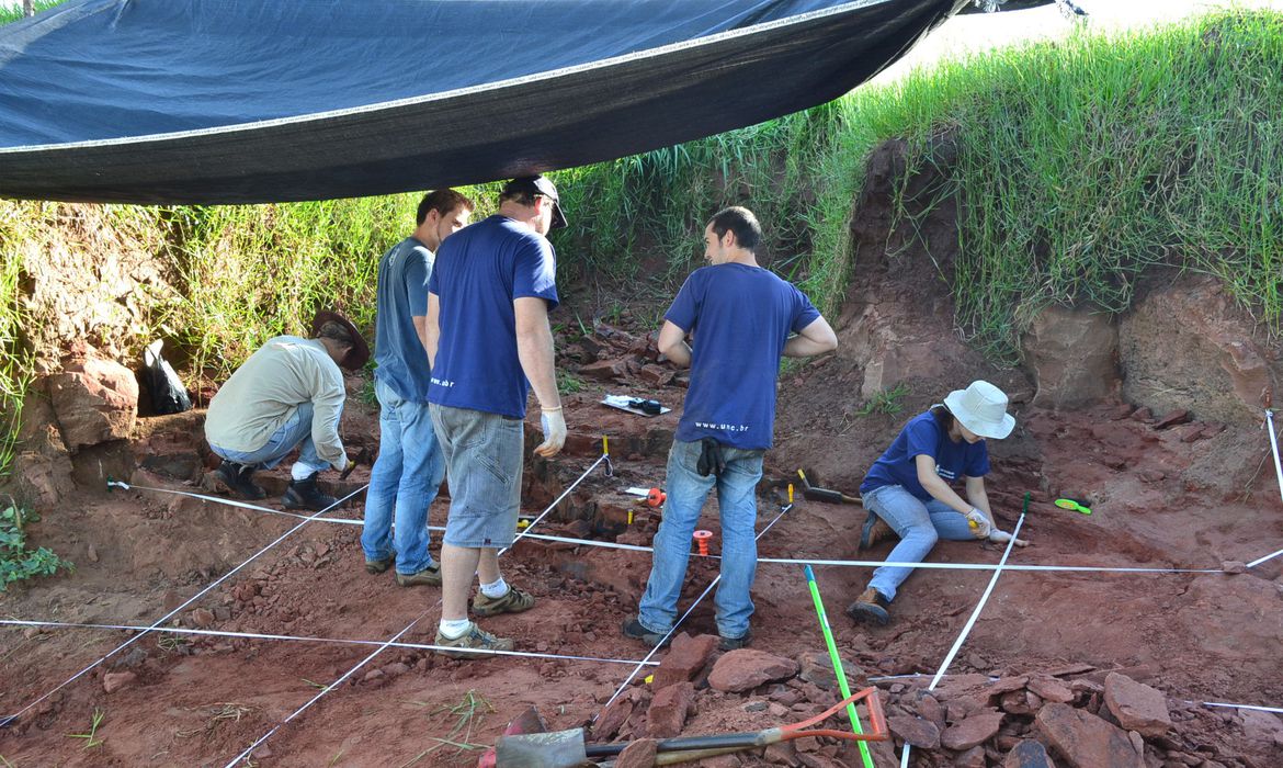 Museu Nacional anuncia descoberta de dinossauro muito raro no Brasil