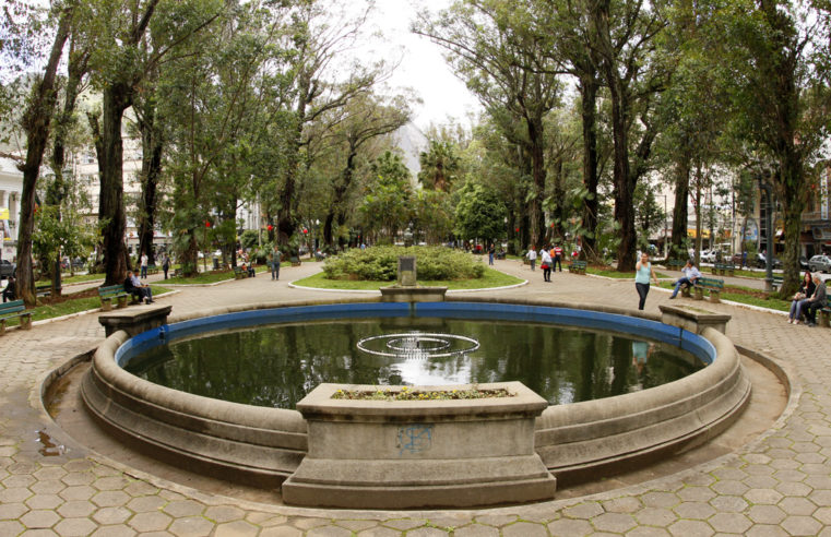 Operação de poda em árvores será realizada na Praça Getúlio Vargas em Nova Friburgo neste domingo