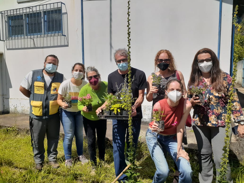 Unidades de saúde realizam cultivo de plantas medicinais em Petrópolis
