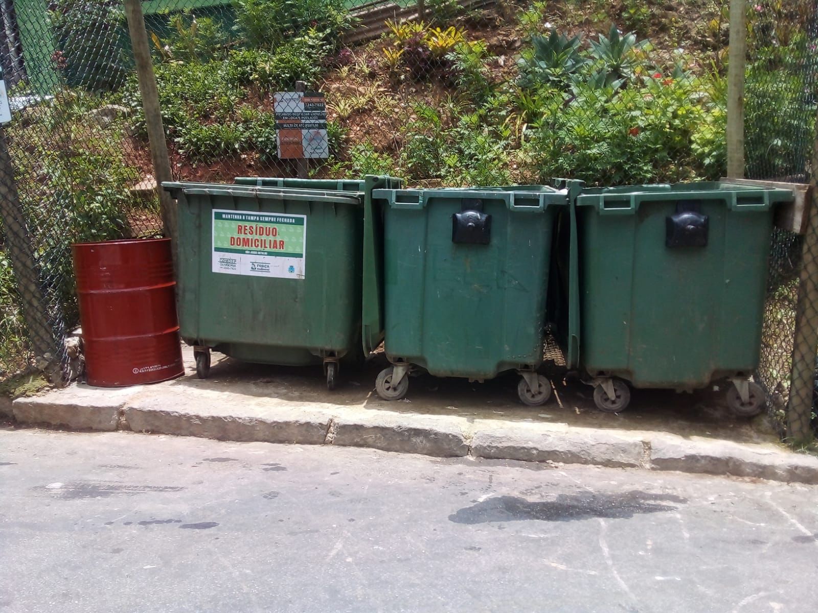 Câmeras de segurança flagram furto de lixeira na rua Luiz Paulistano, em Petrópolis