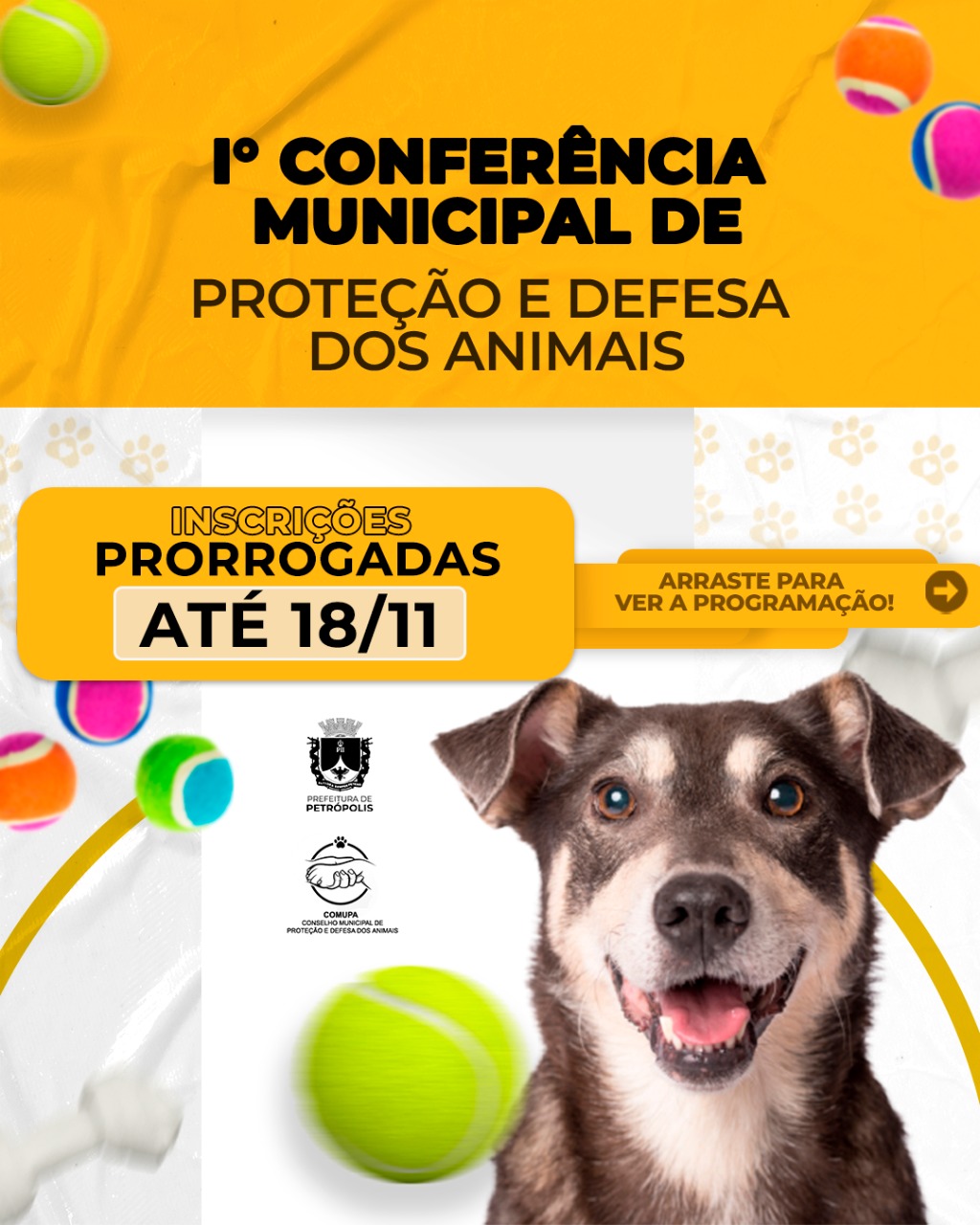 COMUPA prorroga inscrições para conferência online de proteção e defesa dos animais até o dia 18 de novembro