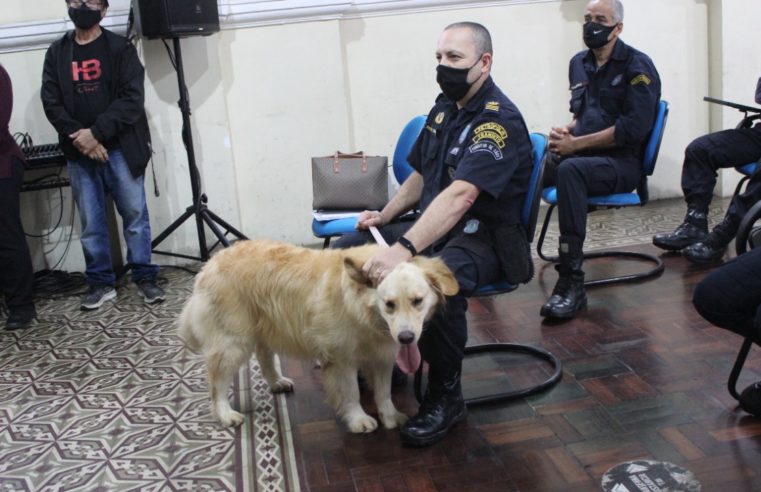Canil da Guarda Civil de Petrópolis é oficializado