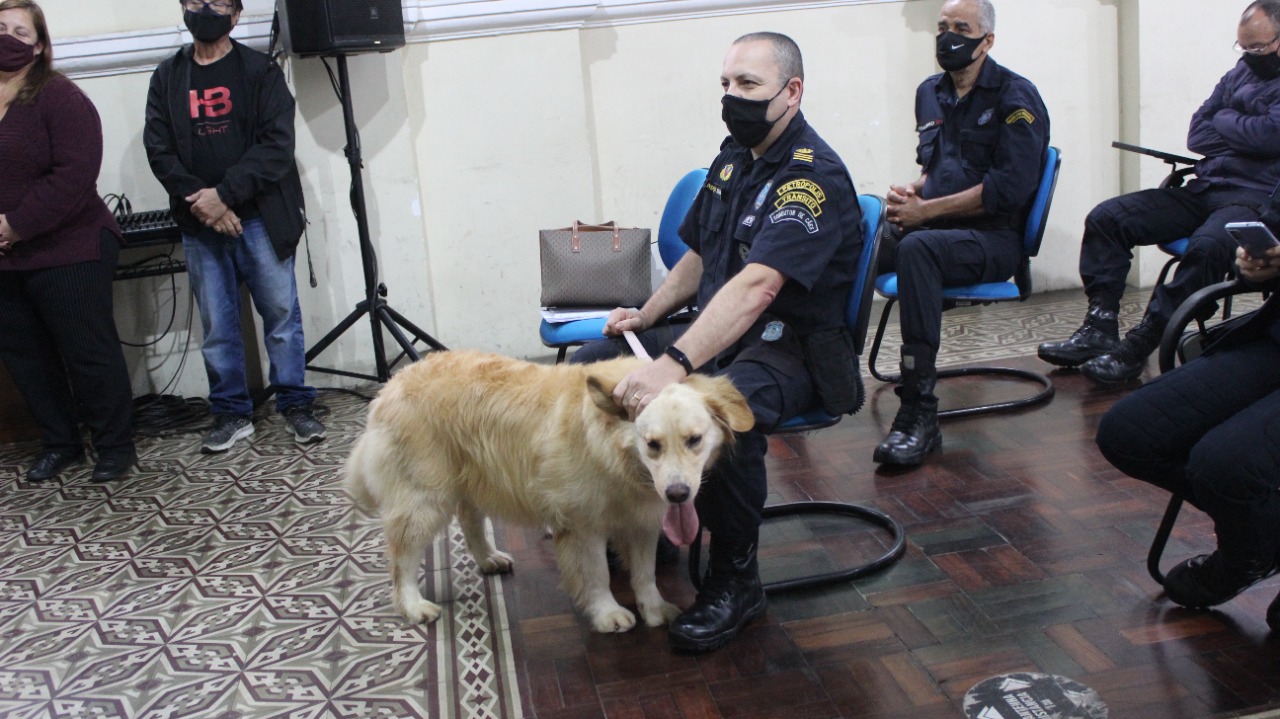 Canil da Guarda Civil de Petrópolis é oficializado