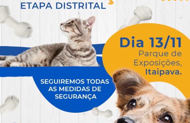 Itaipava recebe a 2ª etapa distrital da Campanha de Adoção de Animais