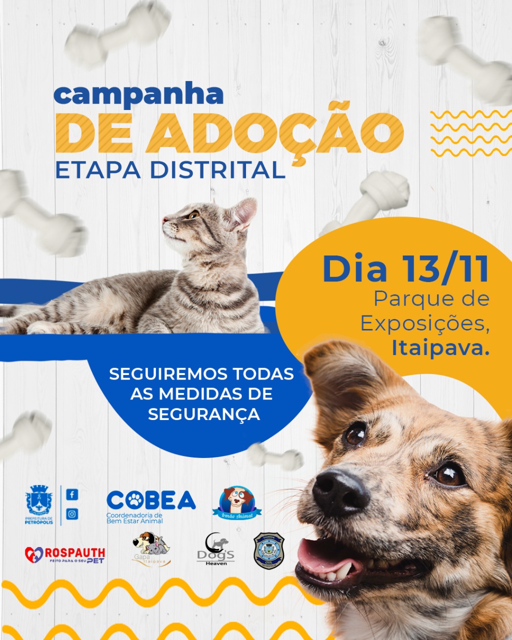 Itaipava recebe a 2ª etapa distrital da Campanha de Adoção de Animais