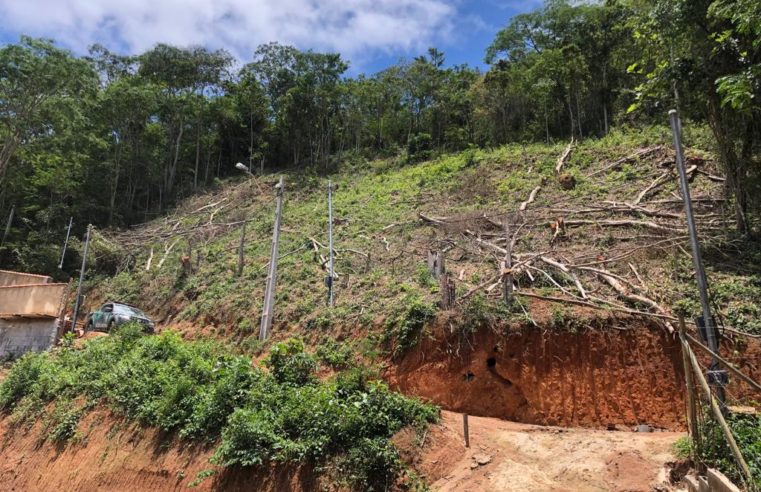 Policia Ambiental identifica desmatamento em Araras