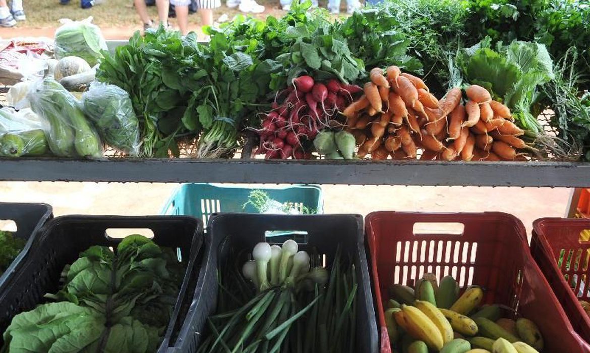 Dia Mundial do Vegano é celebrado neste 1º de novembro