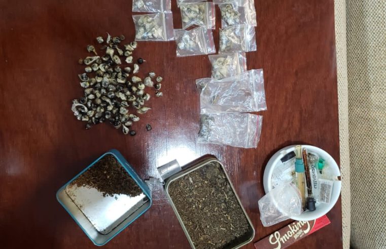 Polícia Civil prende homem com 19 armas e mais de mil munições
