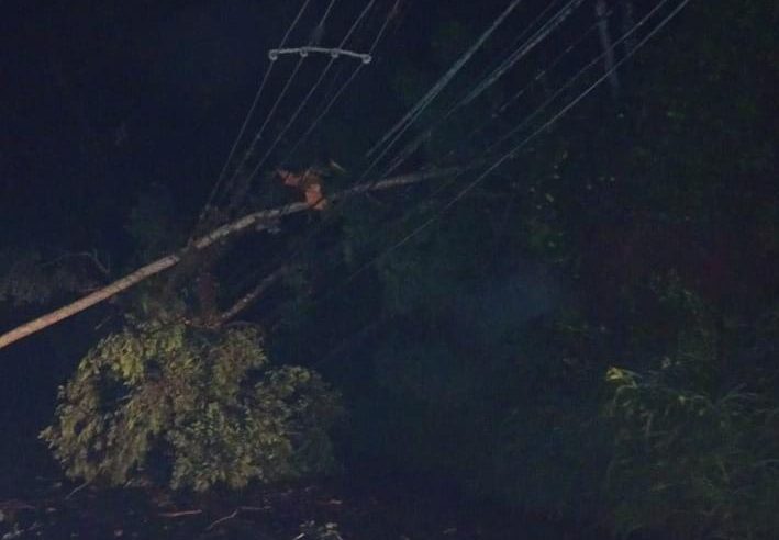 Defesa Civil atua em ocorrências causadas pela chuva durante a madrugada