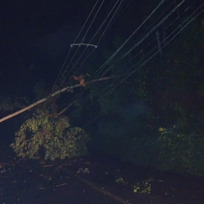 Defesa Civil atua em ocorrências causadas pela chuva durante a madrugada