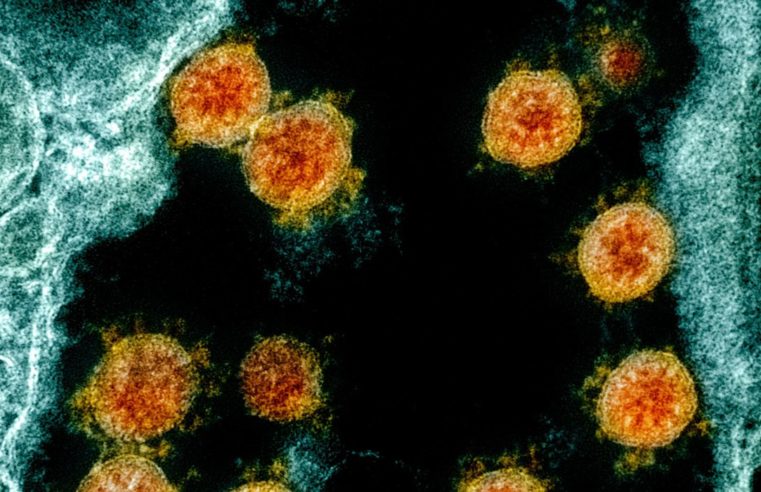 Rio Grande do Sul confirma caso de infecção pela variante Ômicron