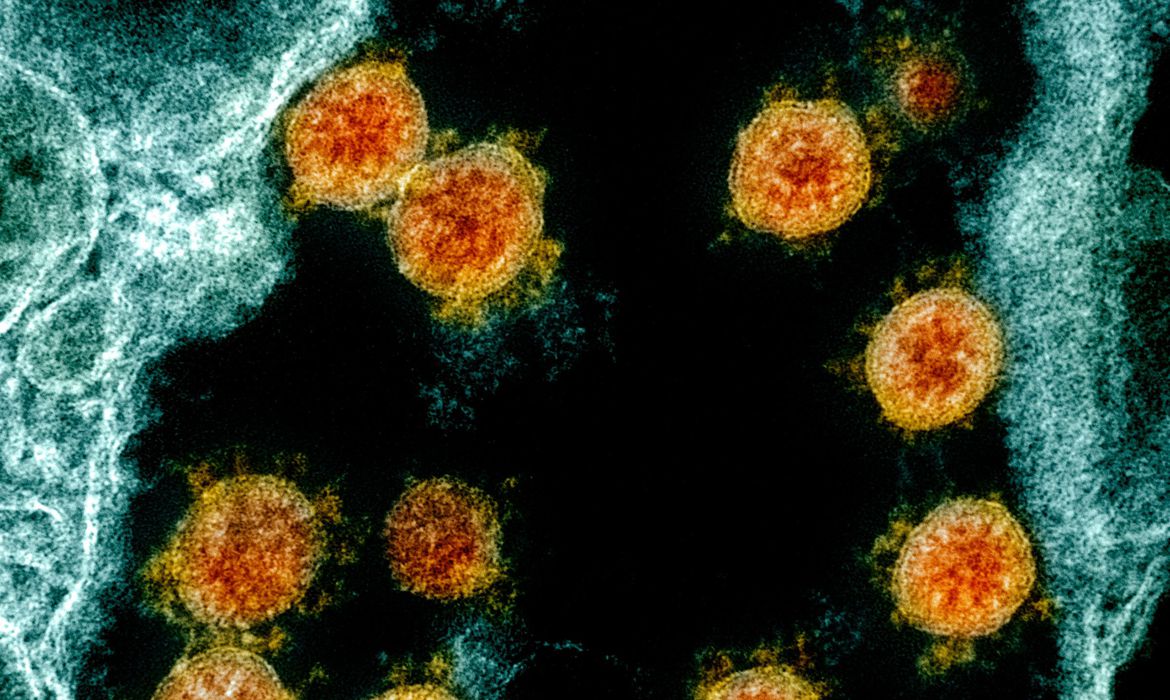 Rio Grande do Sul confirma caso de infecção pela variante Ômicron