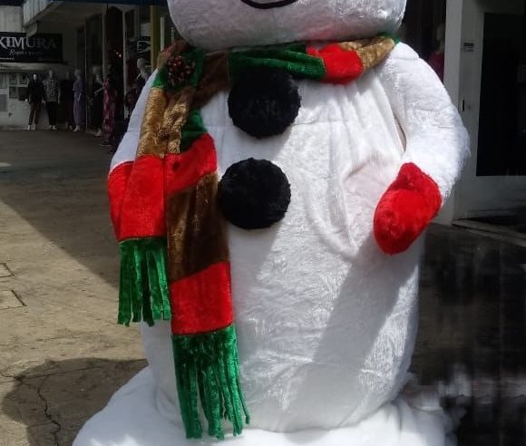 Item da decoração de Natal da Rua Teresa é vandalizado