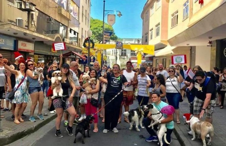 Cãominhada de Natal e Campanha de Adoção são agendas da Cobea neste fim de semana