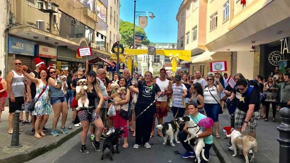 Cãominhada de Natal e Campanha de Adoção são agendas da Cobea neste fim de semana