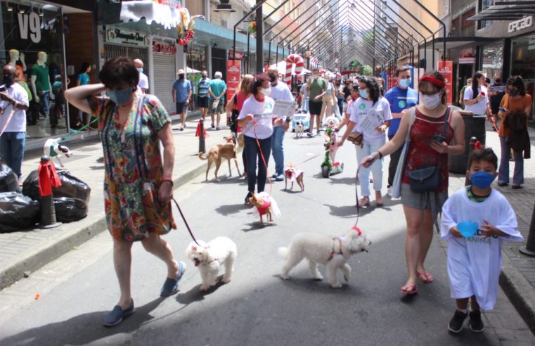 Cãominhada de Natal reuniu mais de 200 cães no Centro