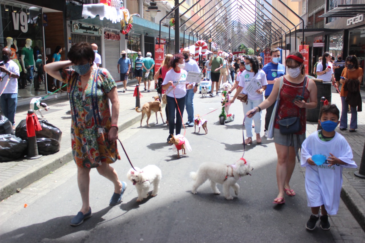 Cãominhada de Natal reuniu mais de 200 cães no Centro