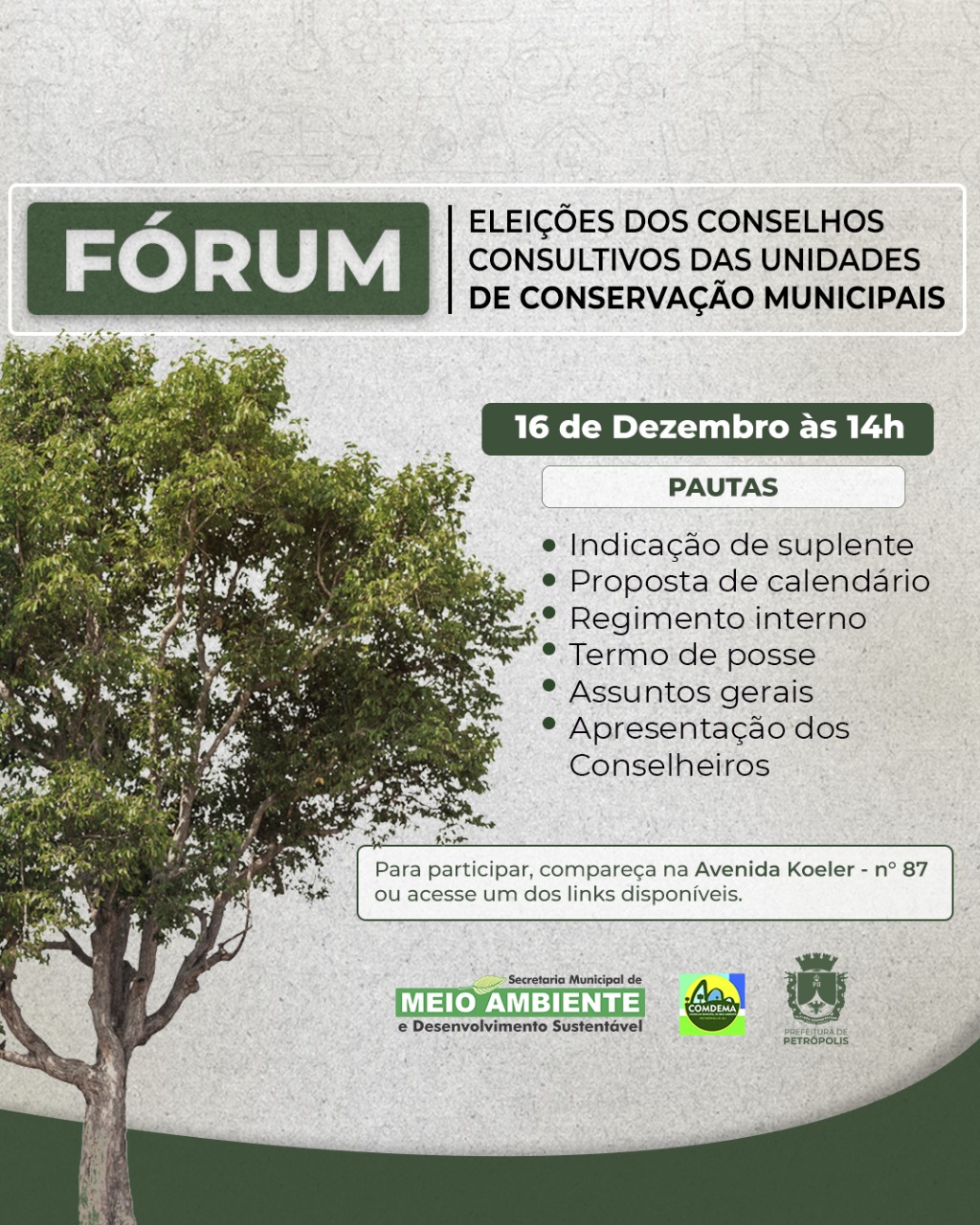 Eleições de conselhos consultivos acontecem nesta quinta-feira (15)