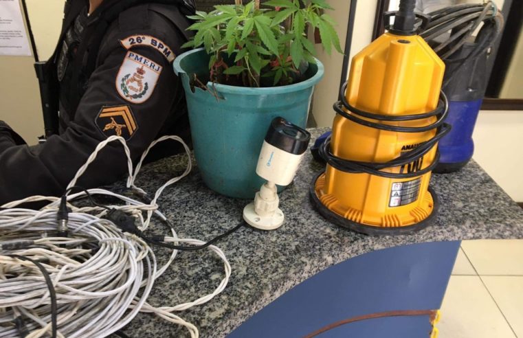 Homem é preso em Itaipava com pé de maconha e produtos e cartões furtados