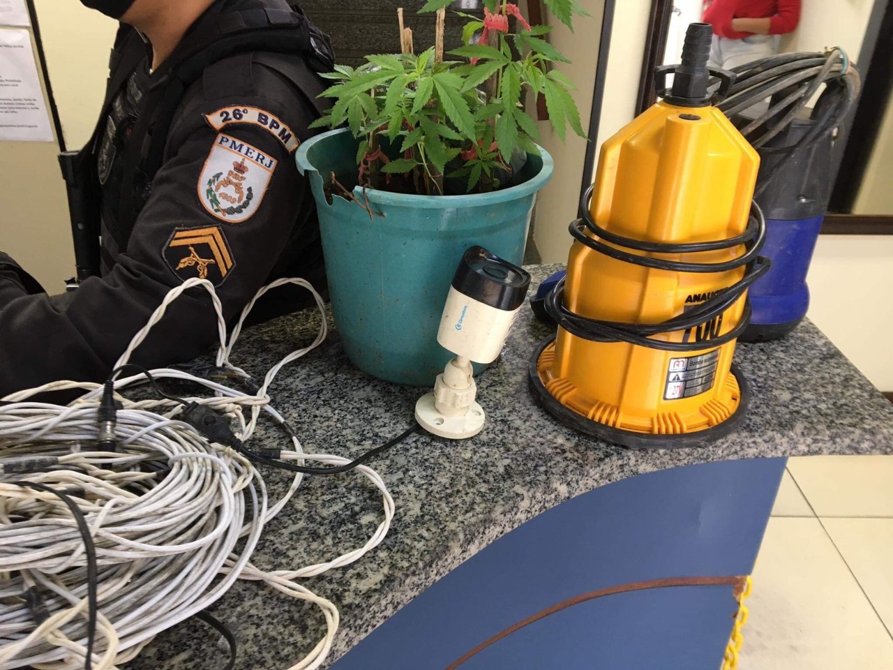 Homem é preso em Itaipava com pé de maconha e produtos e cartões furtados