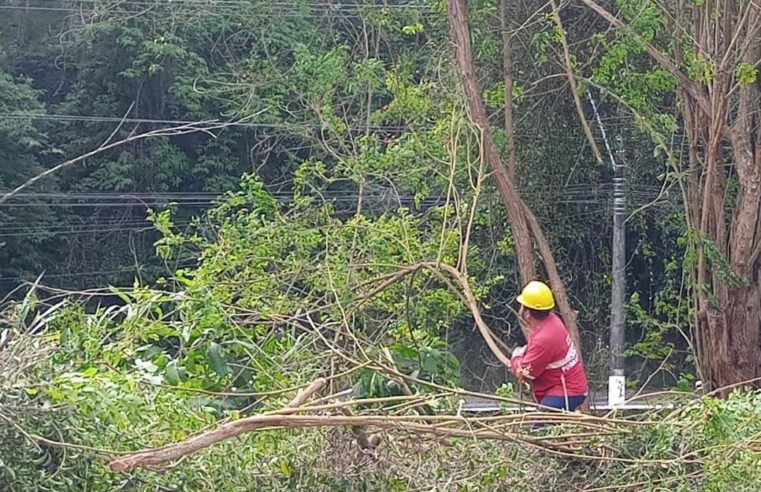 Comdep e CPTrans fazem mutirão de limpeza na Barão do Rio Branco