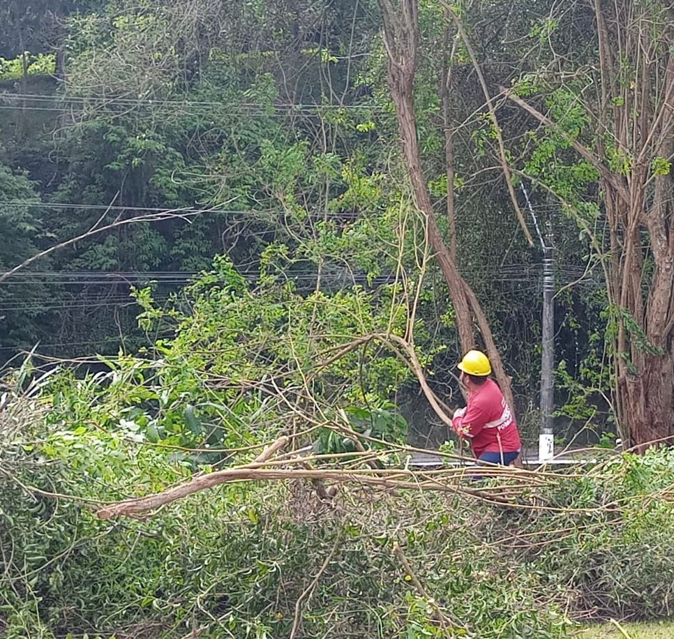 Comdep e CPTrans fazem mutirão de limpeza na Barão do Rio Branco