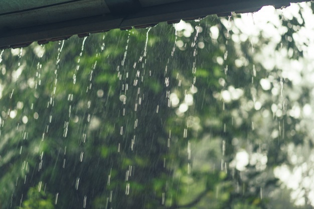 Defesa Civil de Petrópolis emite balanço da chuva desta quinta-feira