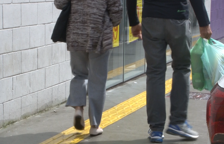 Sacolas plásticas não podem mais ser cobradas por estabelecimentos comerciais de Petrópolis