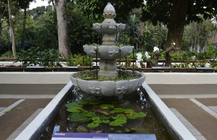 Jardim Botânico do Rio reajusta valores de ingressos