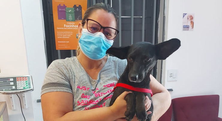 Inscrições para castração de cães e gatos em Paraíba do Sul, através do RJ PET, continuam abertas