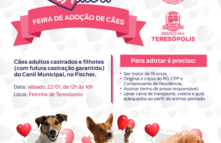 ‘Adote um Amor’: COPBEA realiza feira de adoção de cães neste sábado (22) na Feirarte