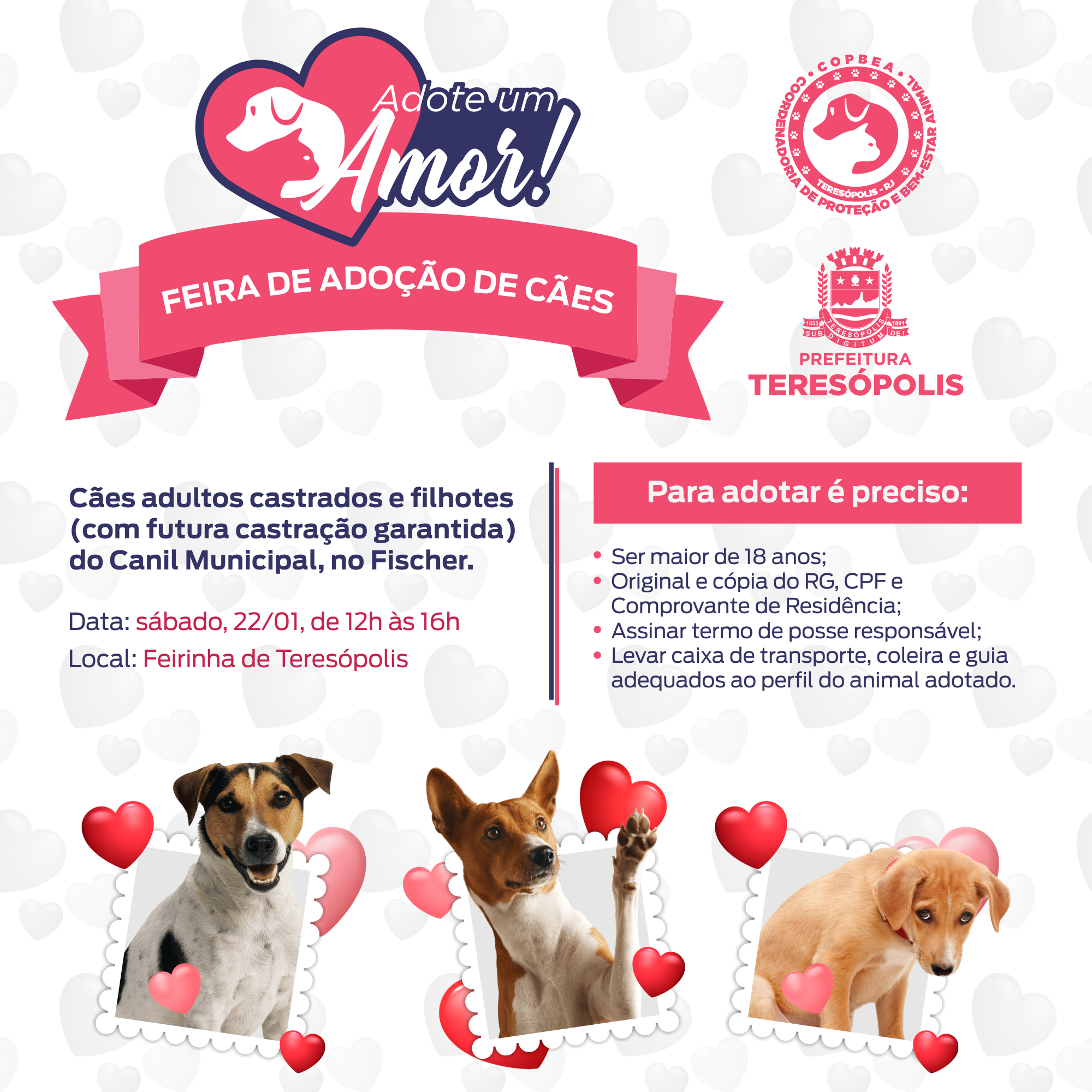 ‘Adote um Amor’: COPBEA realiza feira de adoção de cães neste sábado (22) na Feirarte