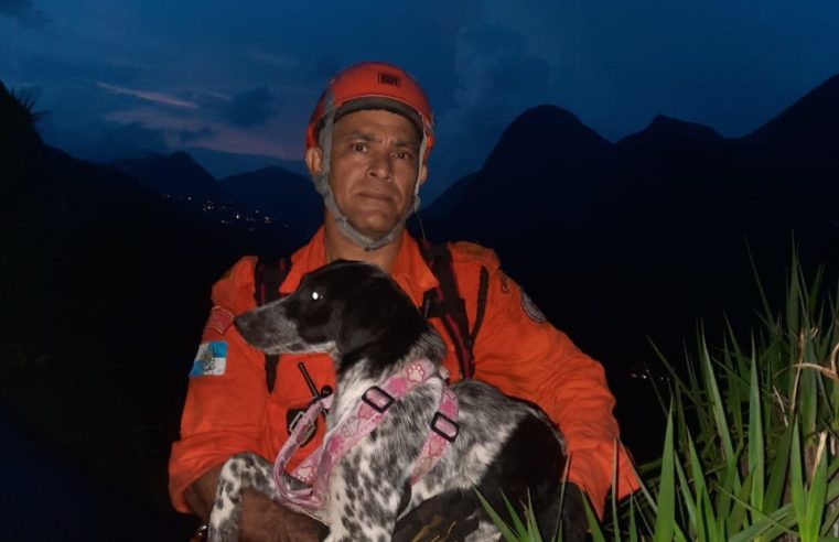Bombeiros conseguem resgatar cadelinha que estava há quatro dias perdida em uma pedreira em Araras