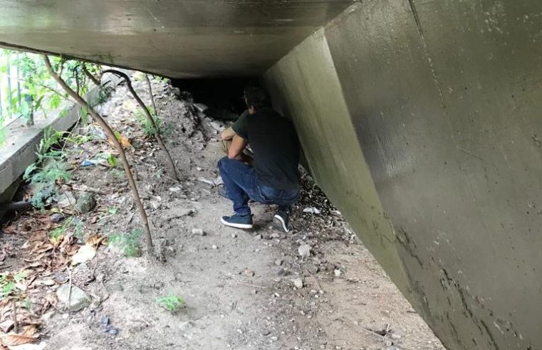 Polícia Civil e Secretaria de Agricultura localizam suspeito de abusar de cães na Zona Sul