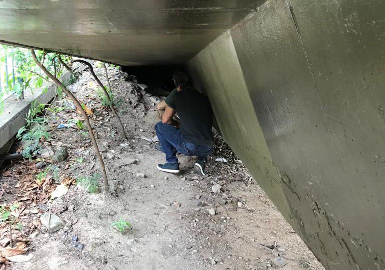 Polícia Civil e Secretaria de Agricultura localizam suspeito de abusar de cães na Zona Sul