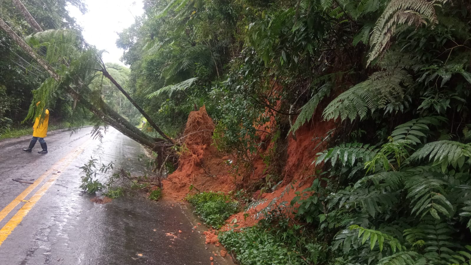 Ministério não reconhece pedido da Prefeitura de Petrópolis para decretar situação de emergência