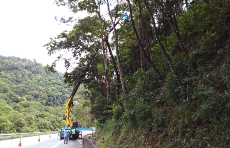 Concer realiza serviço preventivo na BR-040 em Petrópolis
