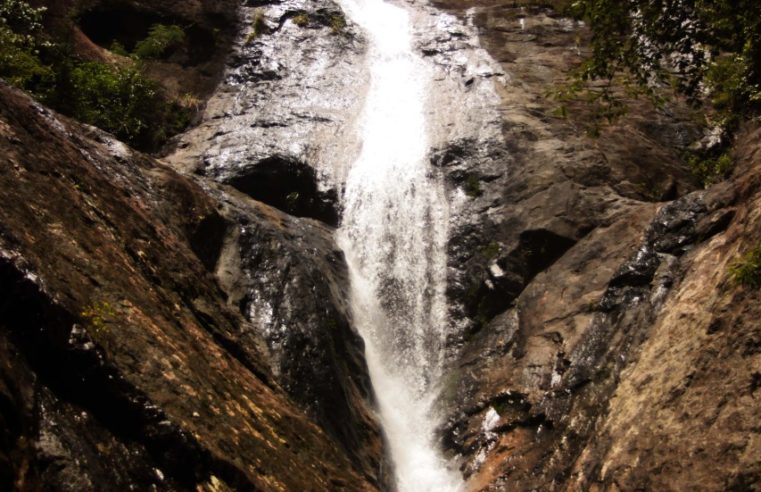 Plano Verão 2022 começa neste fim de semana no Parque Natural Municipal de Nova Iguaçu