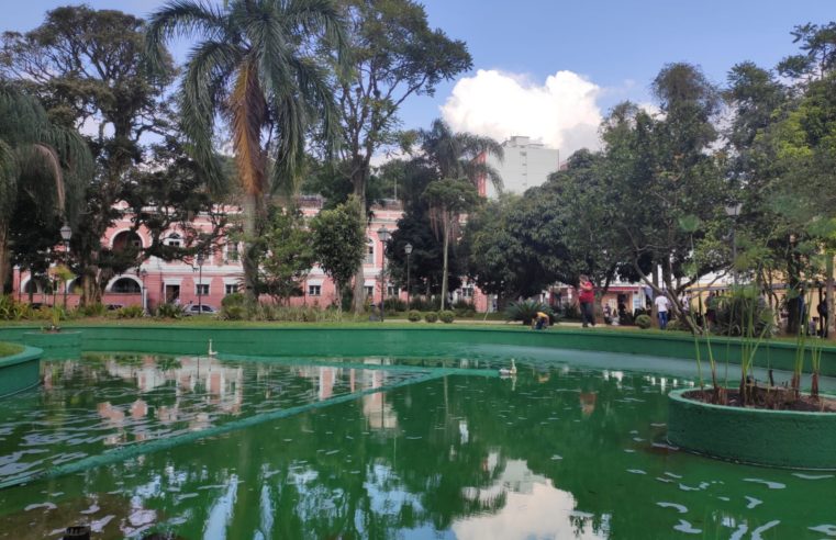 Bosque do Imperador passa por revitalização