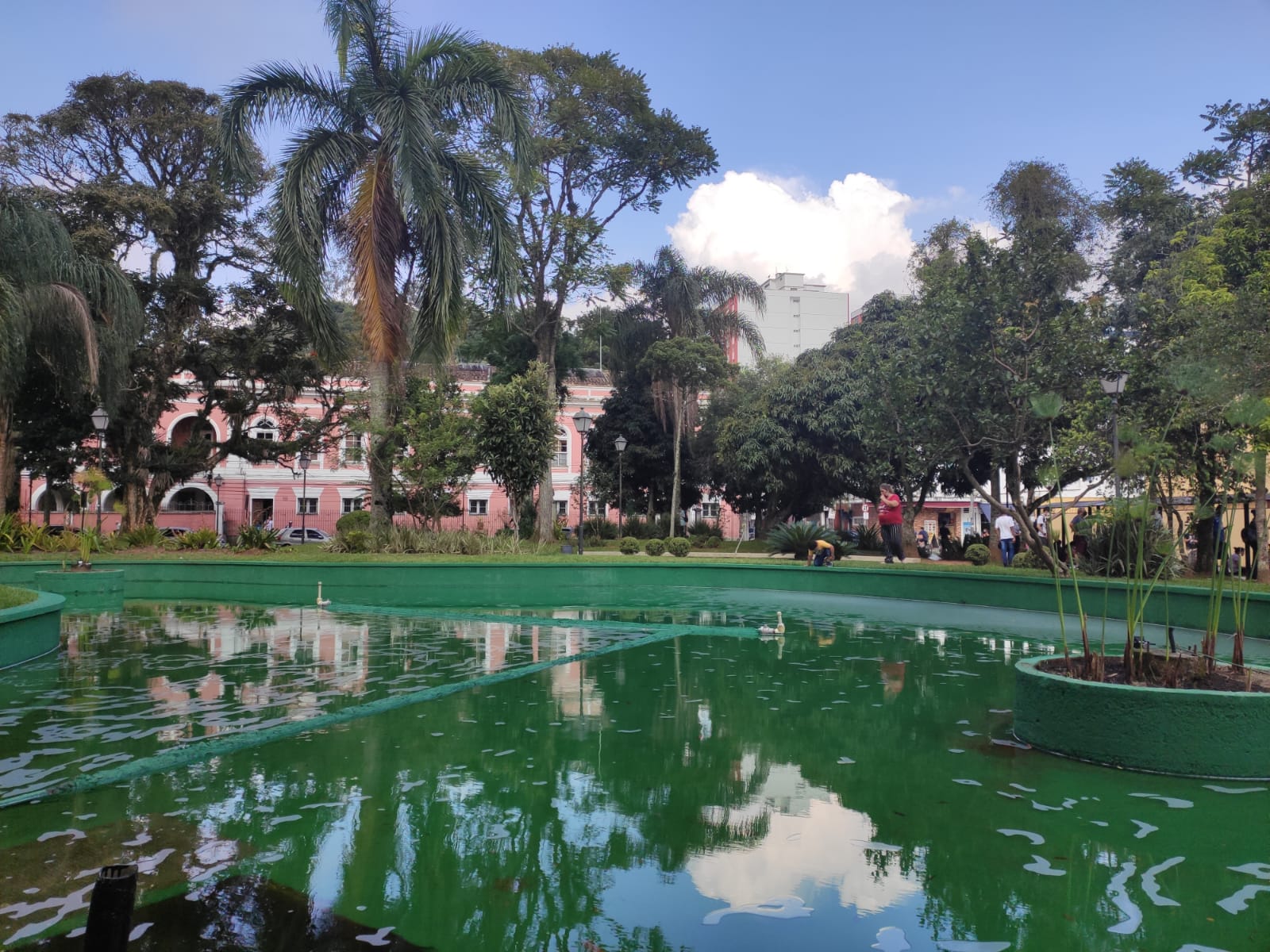 Bosque do Imperador passa por revitalização