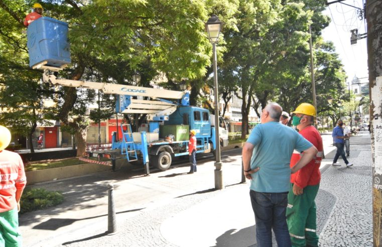 Poda preventiva do lado ímpar da Rua do Imperador é concluída