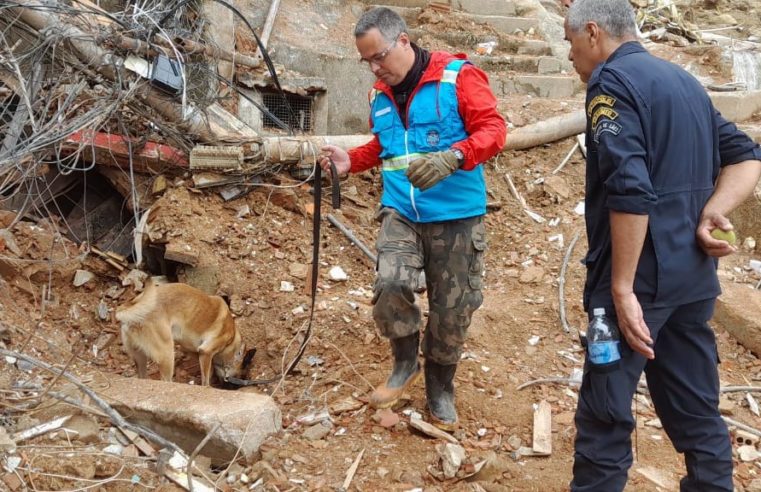 Cães farejadores ajudam nas buscas por vítimas das fortes chuvas