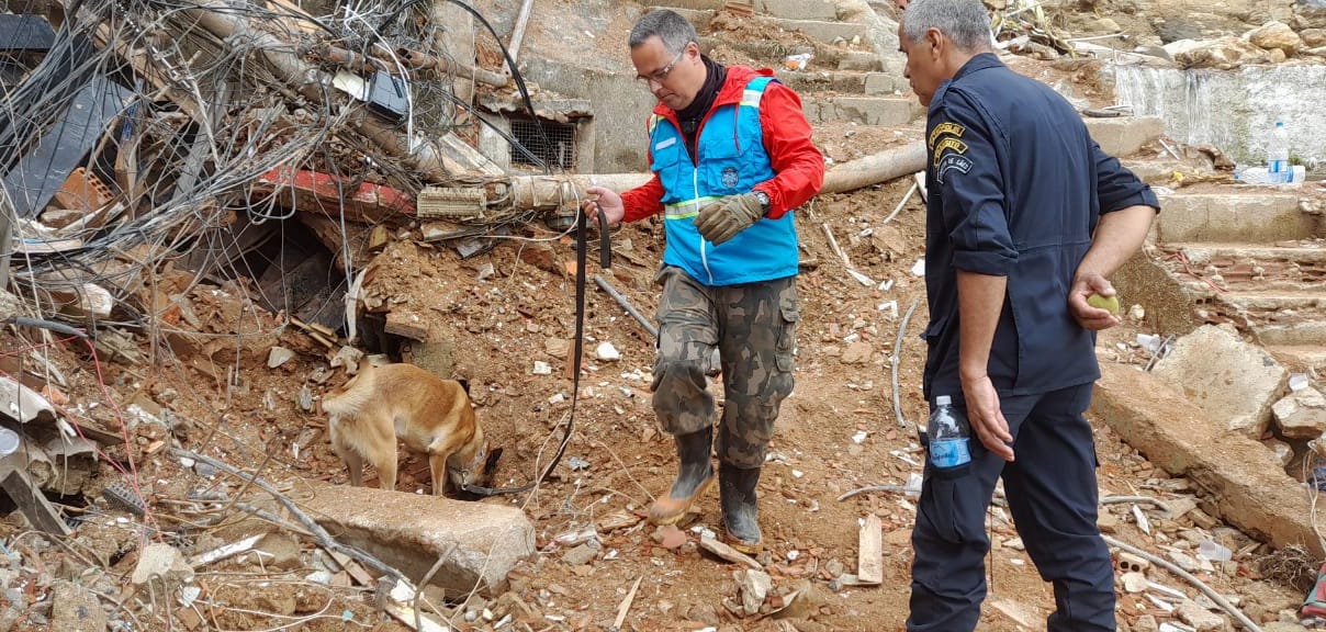 Cães farejadores ajudam nas buscas por vítimas das fortes chuvas