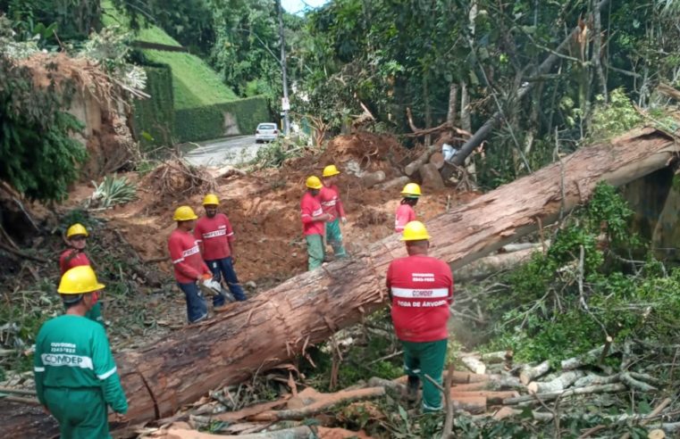 Sobe para 183 número de vítimas fatais em Petrópolis. Defesa Civil segue com as vistorias em áreas afetadas