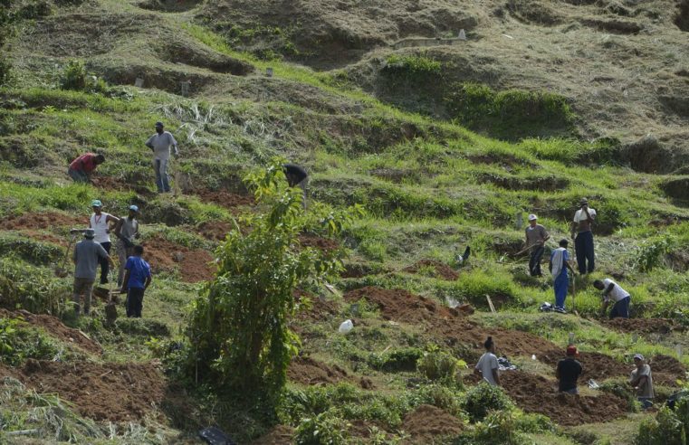 Petrópolis: cemitério improvisa covas para receber vítimas da chuva