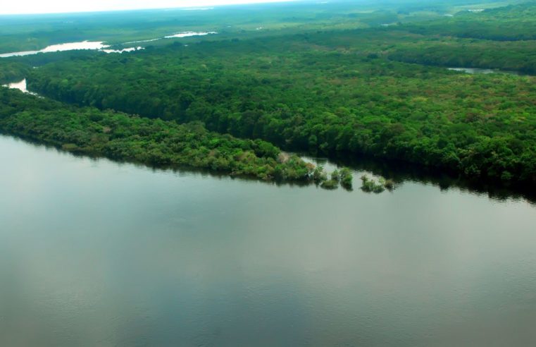 Apenas 7% dos rios da Mata Atlântica apresentam água de boa qualidade
