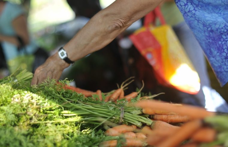 Feira Livre do Alto da Serra volta a funcionar neste domingo