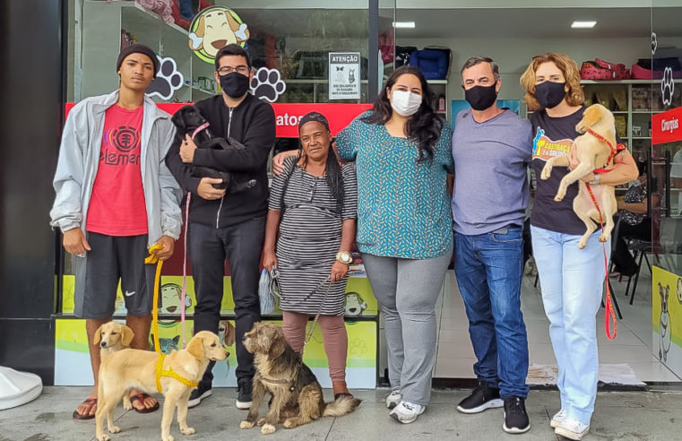 RJPET: Teresópolis faz parceria como Estado para ampliar a castração de cães e gatos
